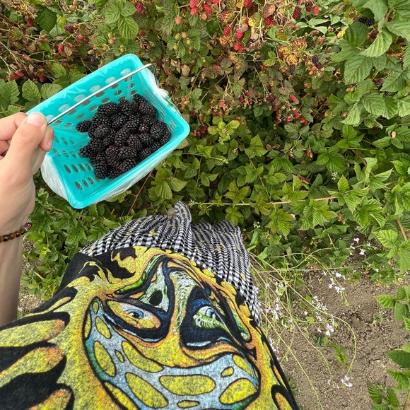 Meet your Posher, Katie - Picture 2 of 7